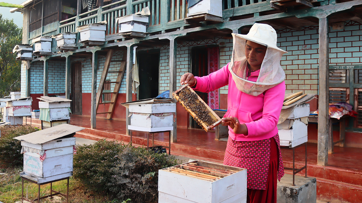 तीन सयमा सिकेको सीपबाट वार्षिक १० लाख कमाइ